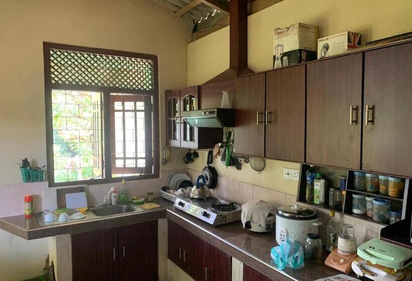 ホテル Sinharaja Holiday Bungalow