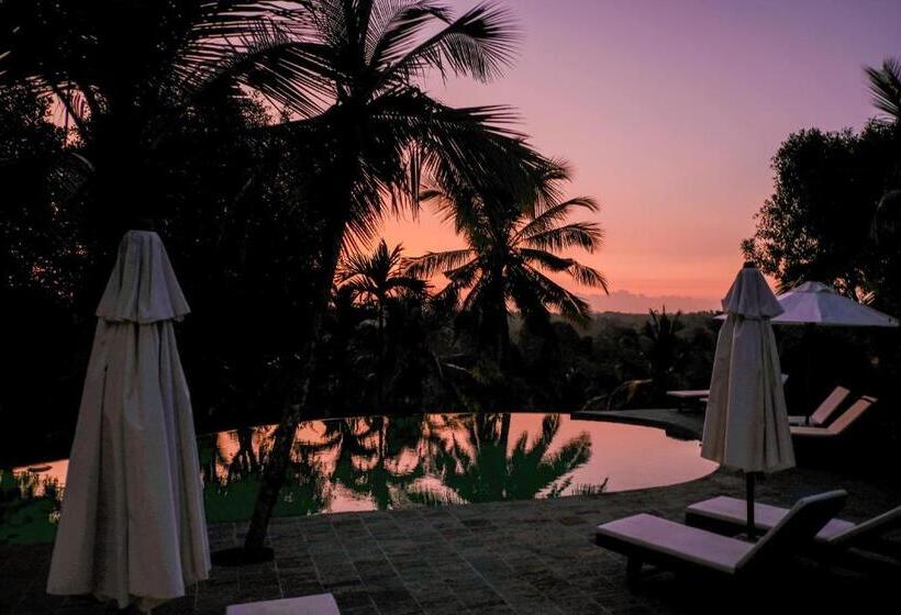 فندق Tekanda Lodge