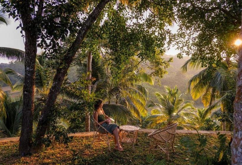 فندق Tekanda Lodge