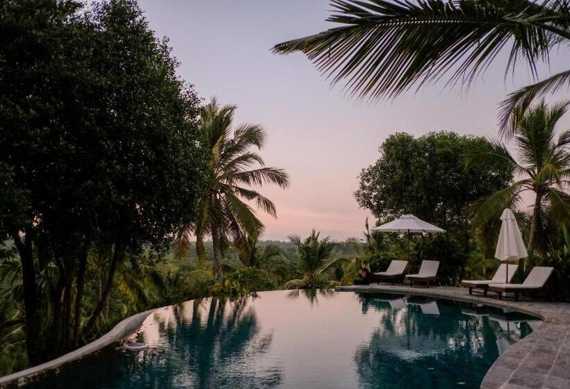 فندق Tekanda Lodge