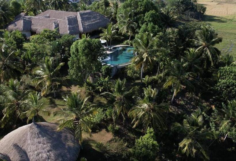 فندق Tekanda Lodge