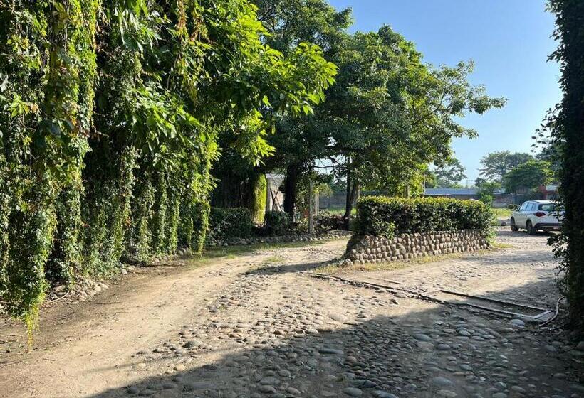 فندق على الطريق Villa Alebrijes