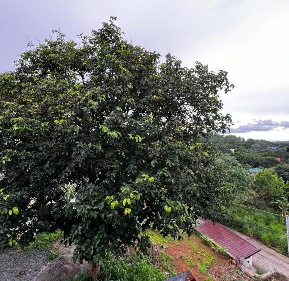 פנסיון Ataraxia Guest House