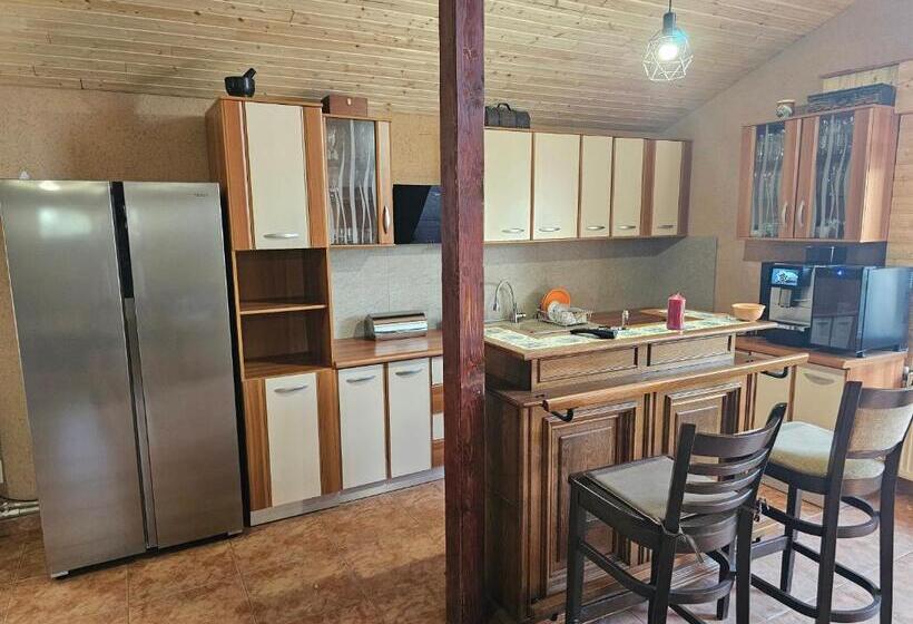 Пансион Casa David