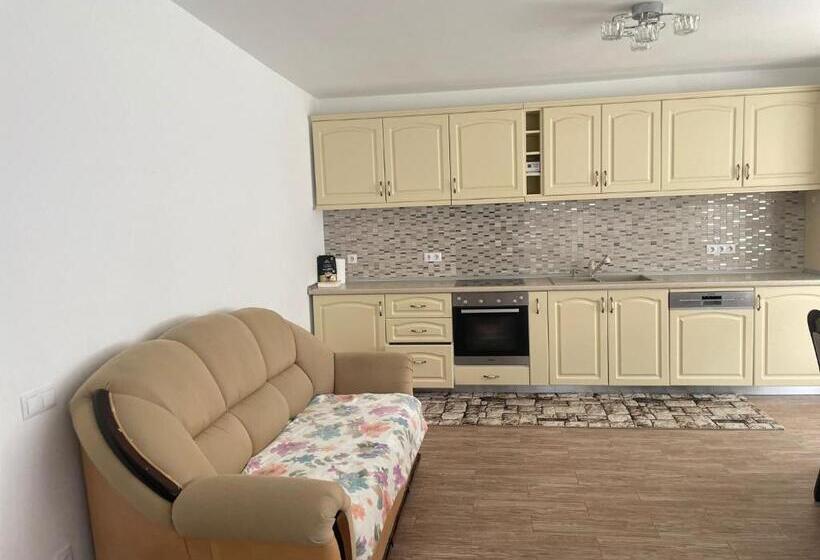 פנסיון Casa De Vacanta