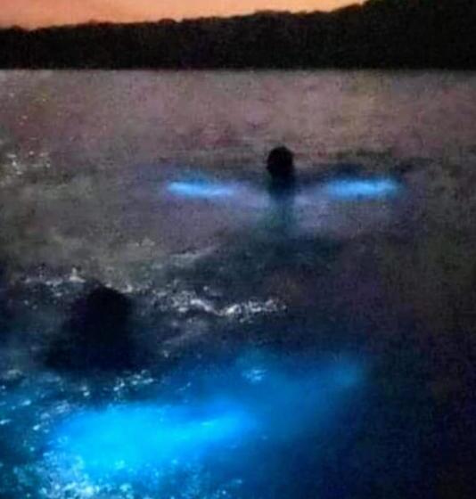 פנסיון Casa Isayoba