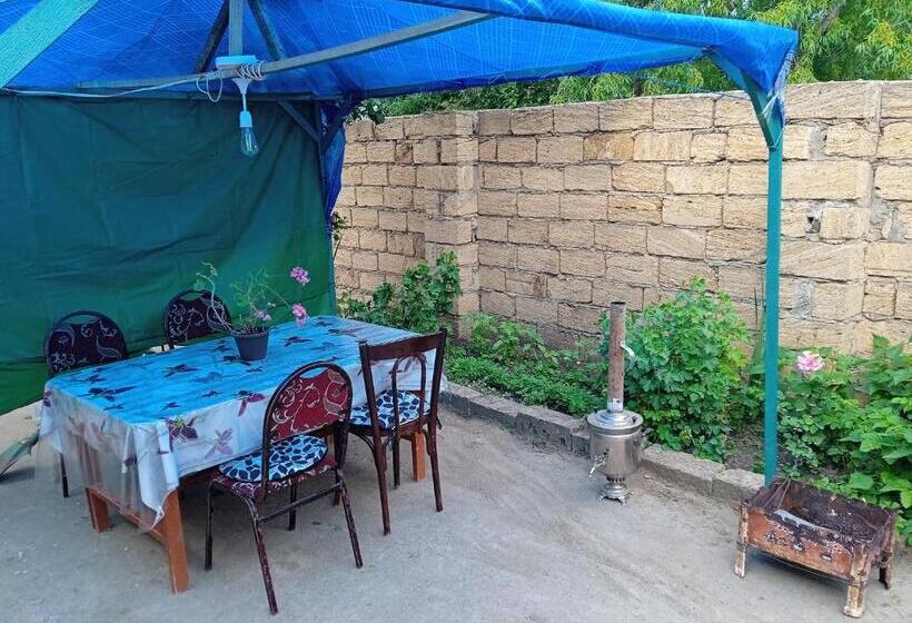 پانسیون Guest House Rovshen