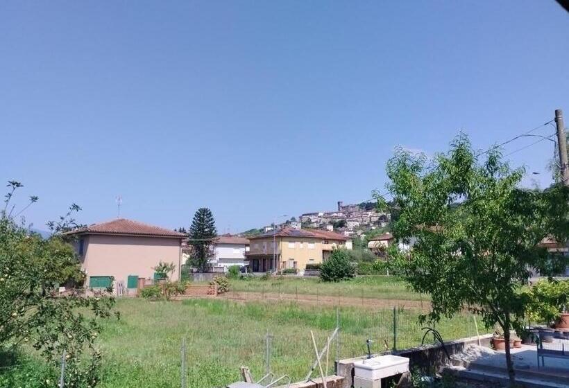 פנסיון Home Mate