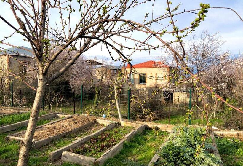 پانسیون Lokokina Guesthouse