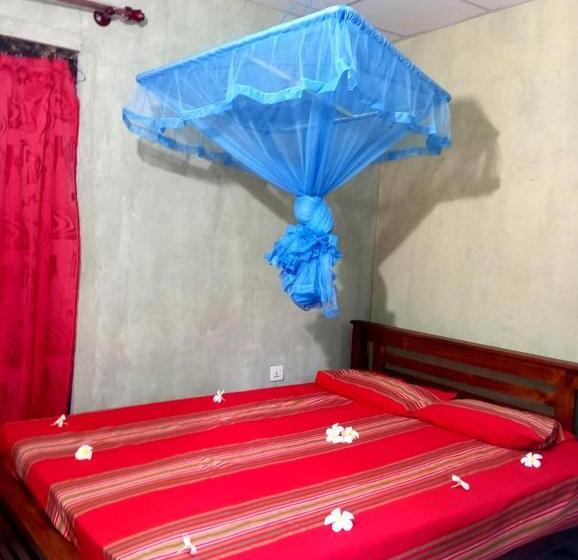 פנסיון Nishan Villa