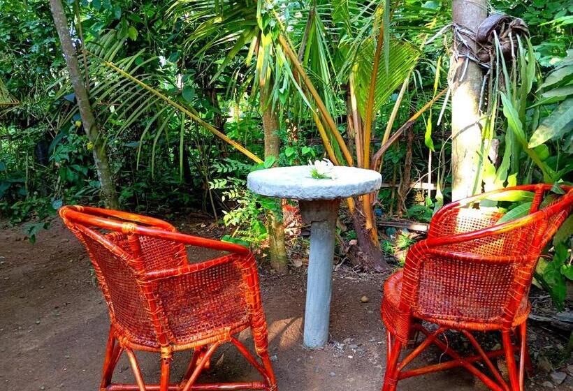 פנסיון Nishan Villa