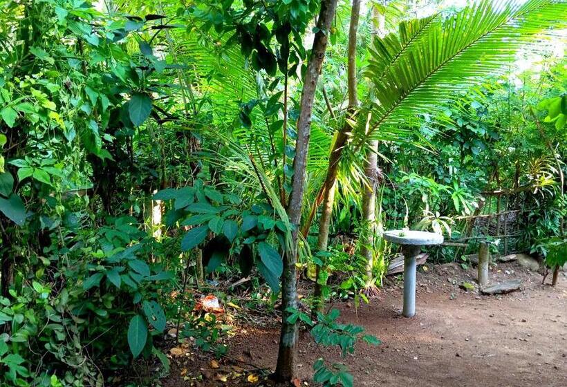 פנסיון Nishan Villa