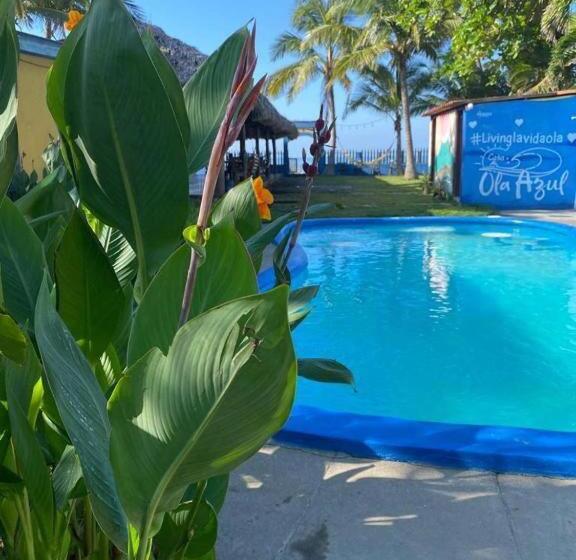 膳宿费 Room In Cabin   Beach Cabana Breakfast And Pool