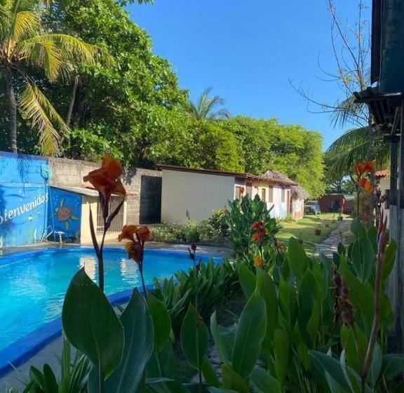 بنسيون Room In Cabin   Cabana With Breakfast And Pool On The Beach