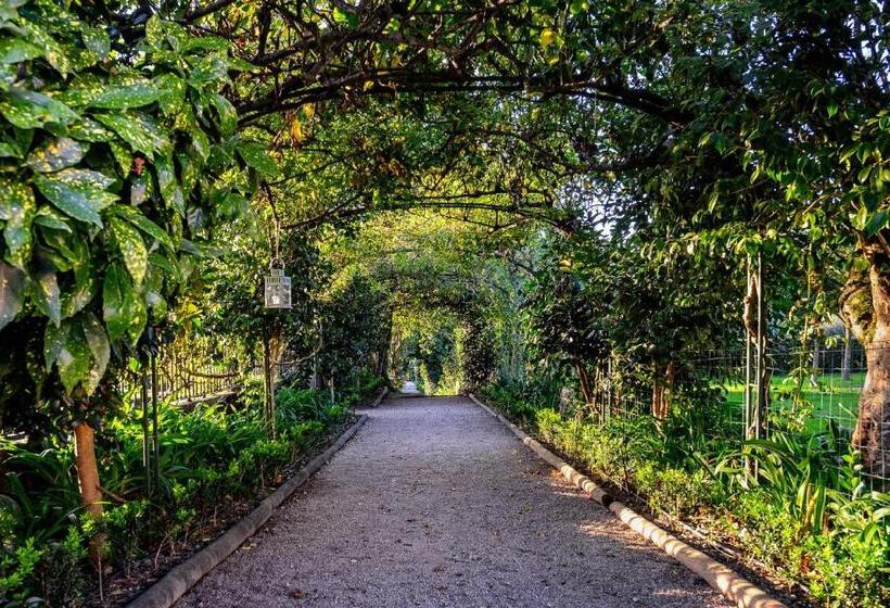 פנסיון Solar De Vilar