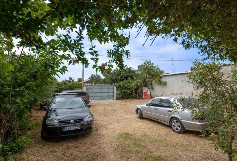 פנסיון Zana Guesthouse