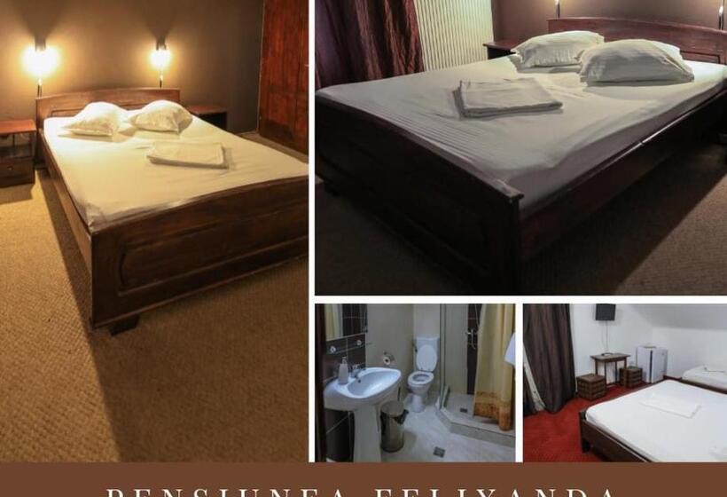 Pensiunea Felixanda