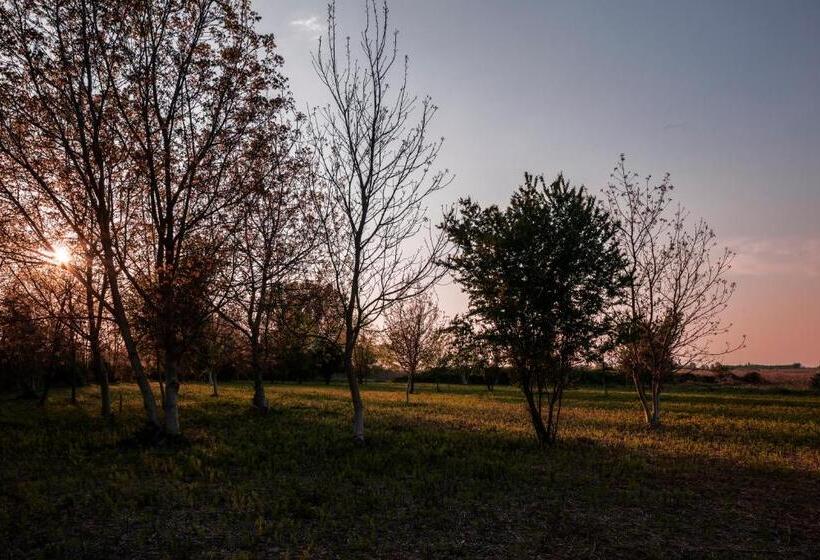 旅馆 Cascina La Goliarda