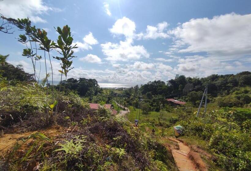 הוסטל Hostal Liliana