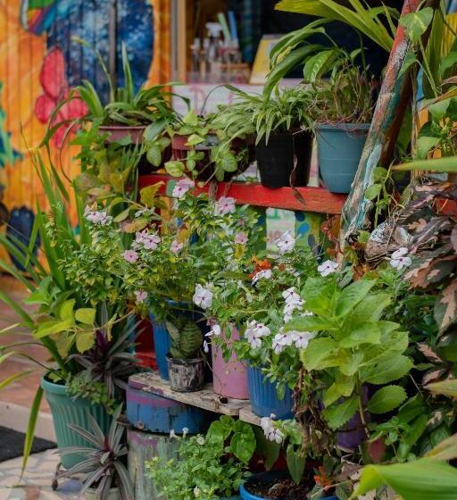 הוסטל Hostal Liliana