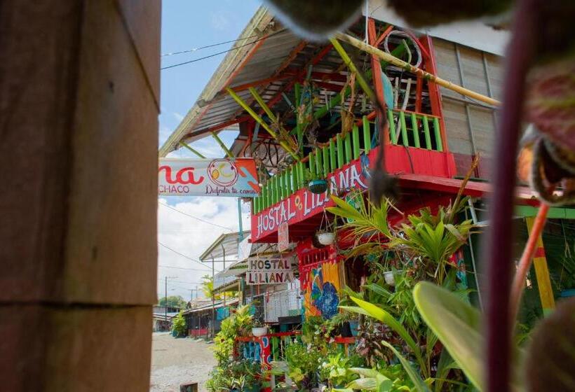 הוסטל Hostal Liliana