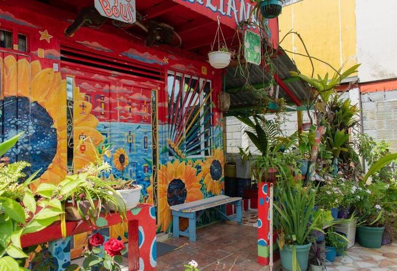 הוסטל Hostal Liliana