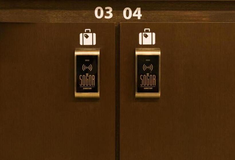 فندق صغير Sogor Female Dormitory