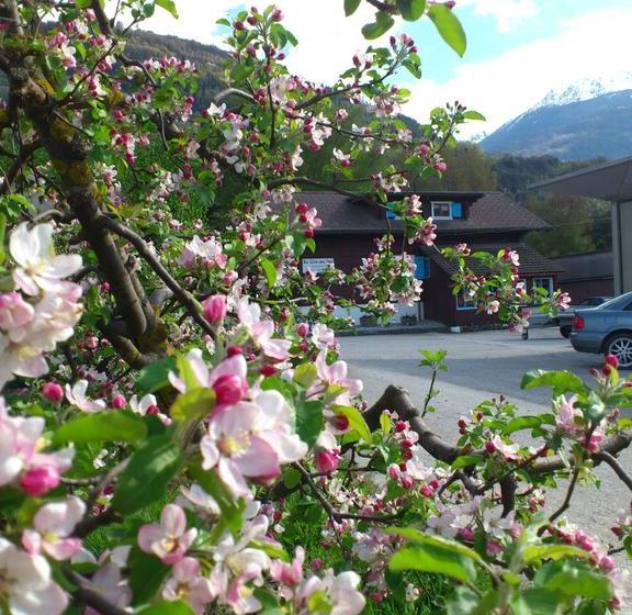 ベッドアンドブレックファースト Le Gîte Des Iles