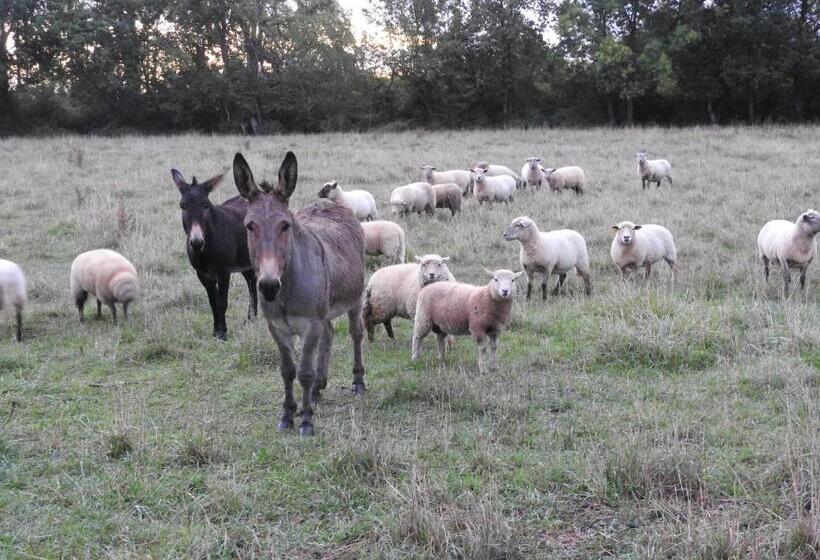 住宿加早餐 Le Moulin De Saussaye
