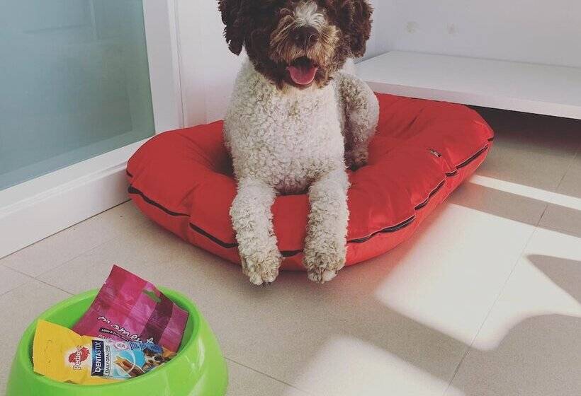 צימר Mardenit Hotel Boutique