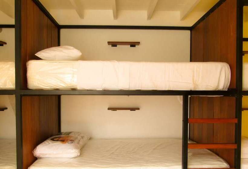 تختخواب و صبحانه Nomad Hostel