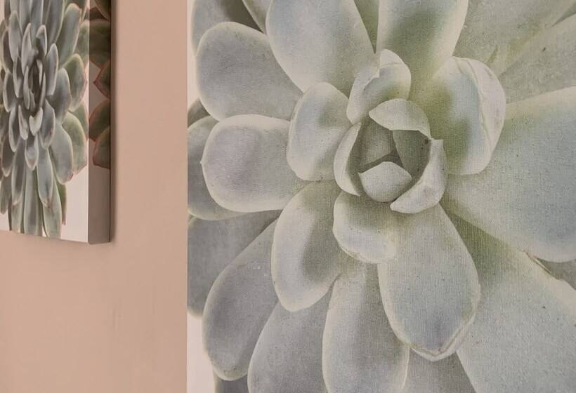 צימר Palazzo Ducale