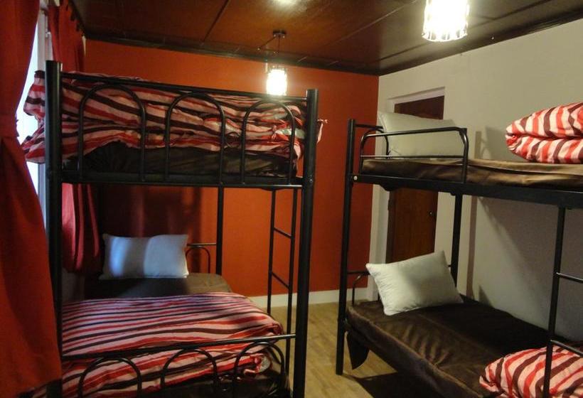 تختخواب و صبحانه Yado240