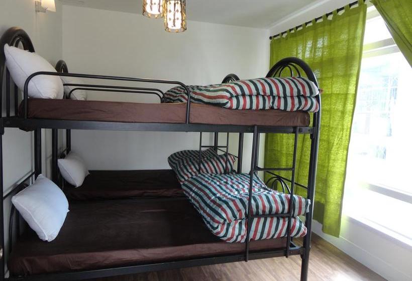 تختخواب و صبحانه Yado240