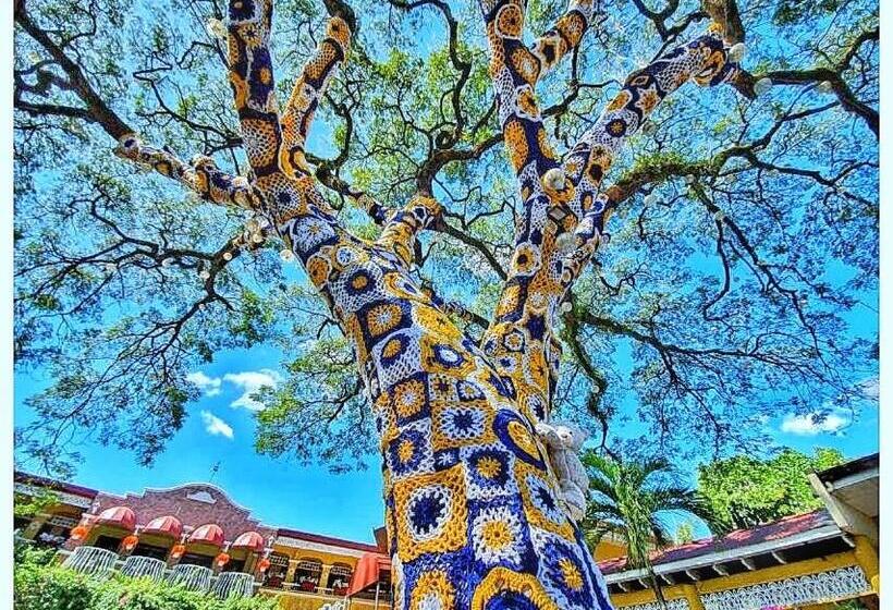 בית מלון כפרי Asiaten