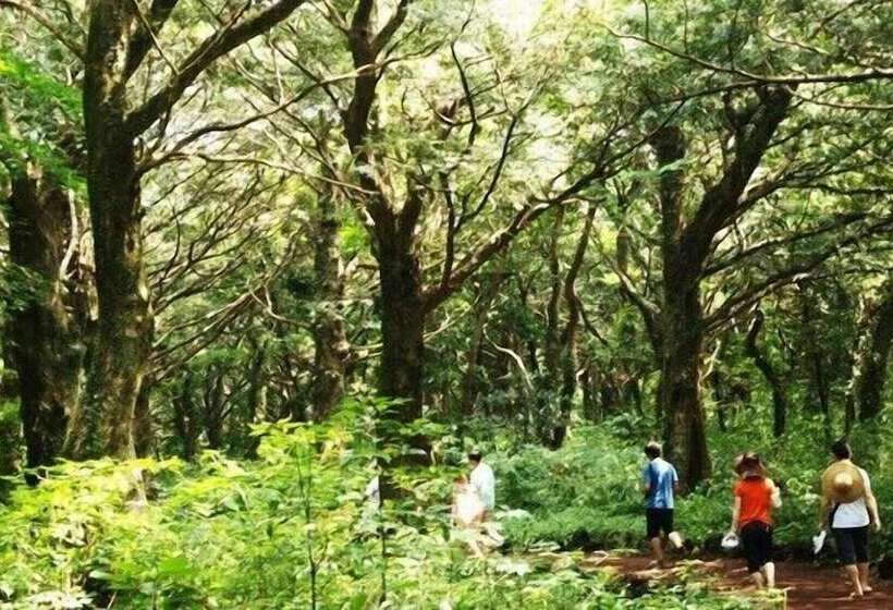 Отель Golden Tulip Jeju Seongsan