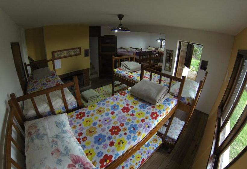 فندق Hostel Picus