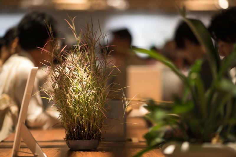 Kumu Kanazawa By The Share Hotels