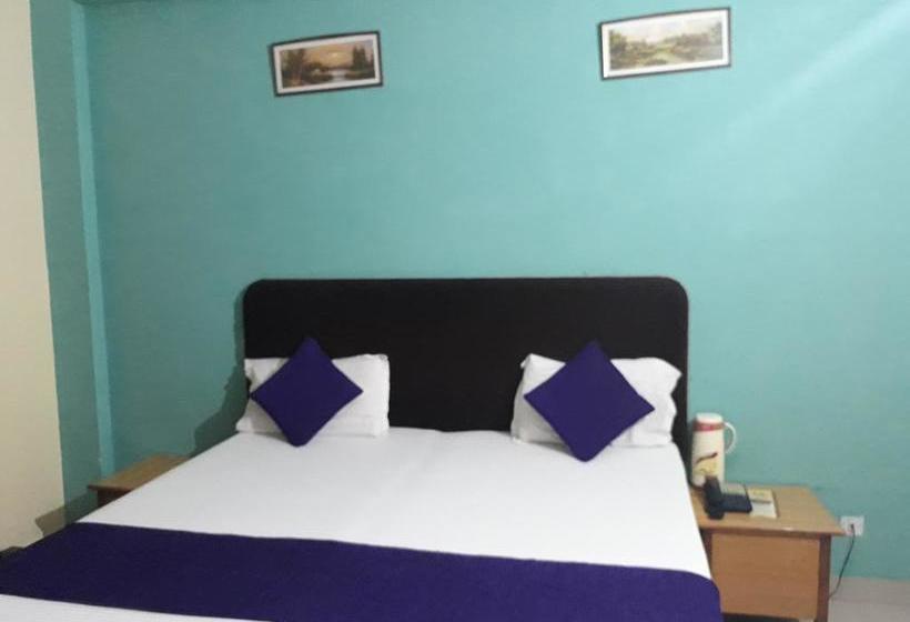 Отель Capital O 38730 Mansarovar Deluxe