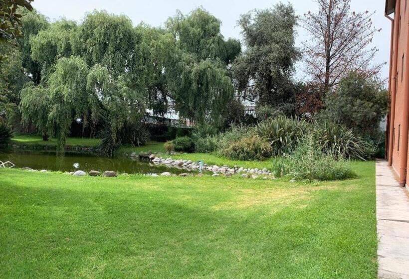 هتل Oliver Inn Toluca