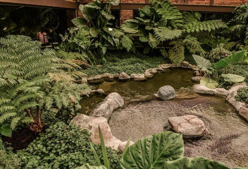 هتل Oliver Inn Toluca