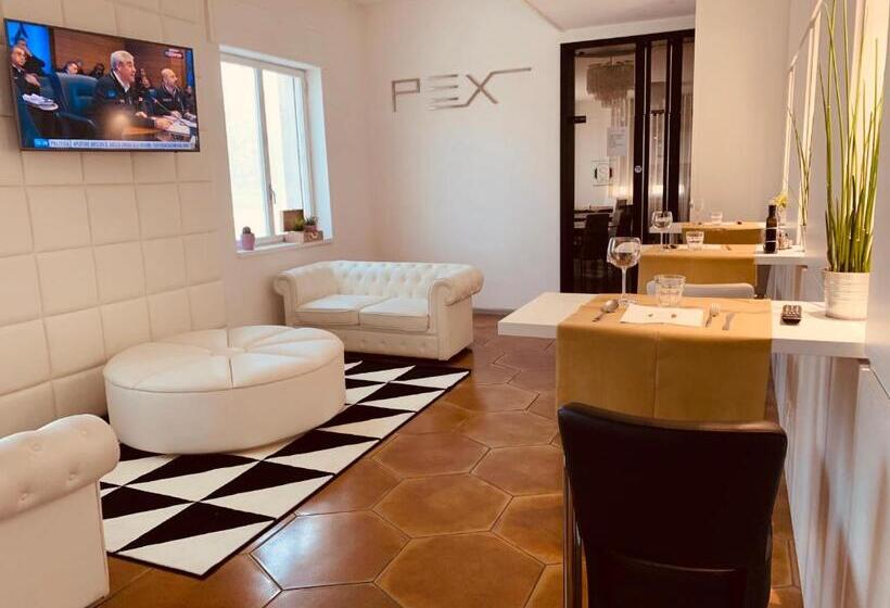 酒店 Pex Padova