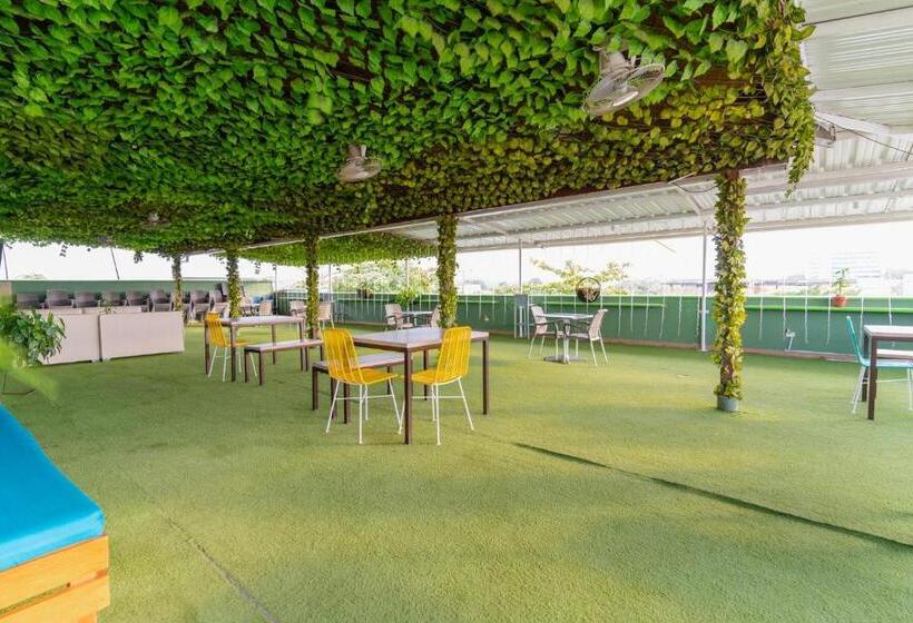 酒店 Plataneras Plaza