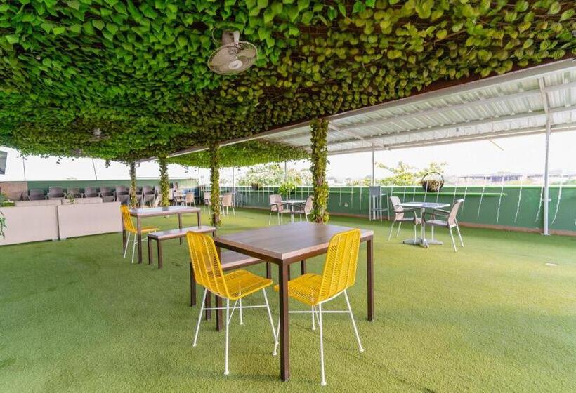 酒店 Plataneras Plaza