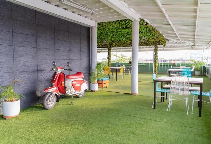 酒店 Plataneras Plaza