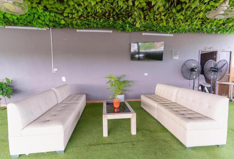 هتل Plataneras Plaza