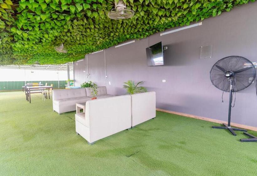 酒店 Plataneras Plaza