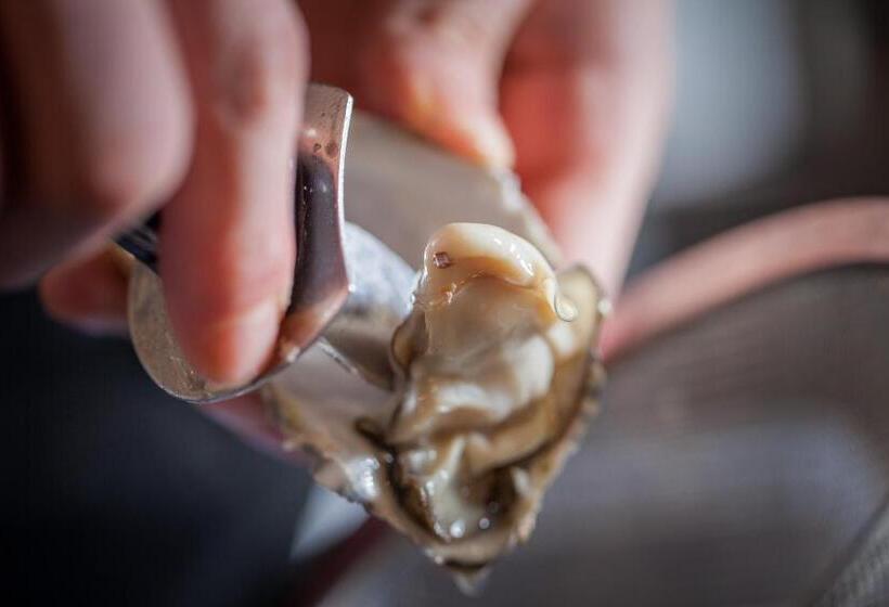 ホテル Steinhäuser Hof