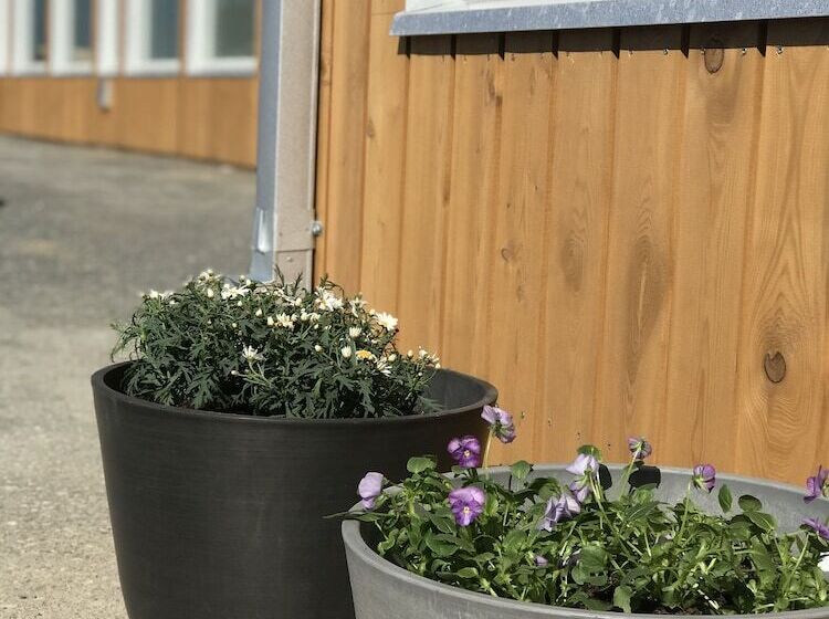 בית מלון כפרי The View