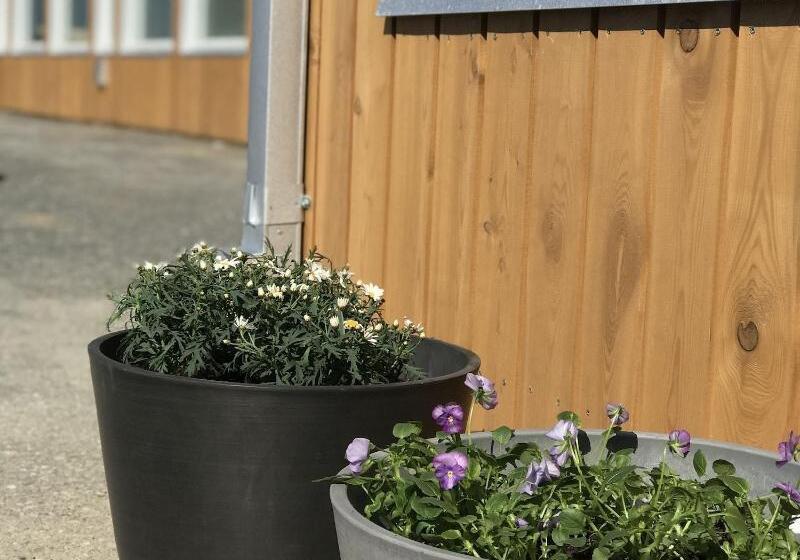 בית מלון כפרי The View